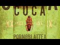 1. Cuca - Pornoblattea (Audio Oficial)