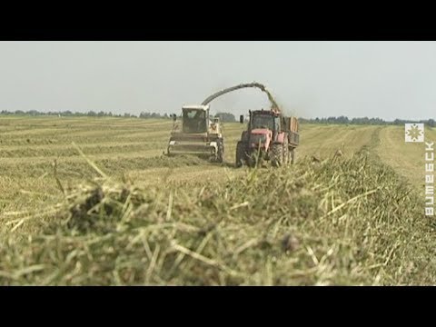 Гаспадаркі прыступілі да масавай нарыхтоўкі травяных кармоў (13.06.2017)