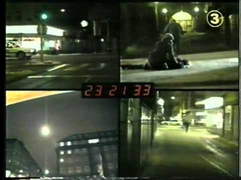 Vem mördade Olof Palme Del 1.wmv