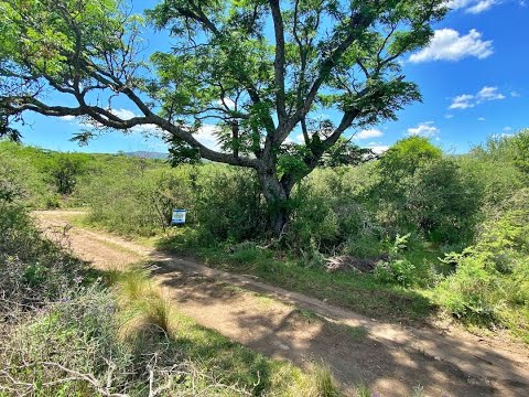 Lote en pleno monte serrano. Casa Grande, sierras de Córdoba.