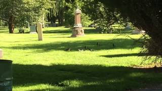 Magpie Funeral