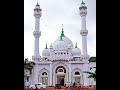 Muhammad Nabina Ayisha Abdul Basith Free Palestine Islamic Video Viral Video