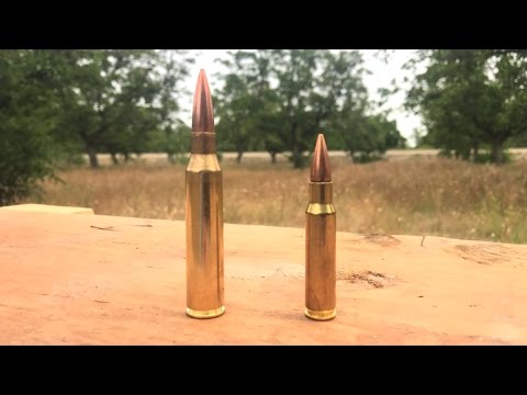 338 Vs 308