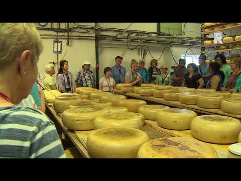 Reportage: Amerikanen zijn gek op kaas uit Streefkerk