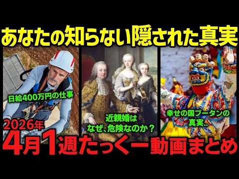【人類の常識が覆される瞬間!?】禁忌の結婚とヤバい事件の裏側...2026年4月1週まとめ「作業用/たっくー切り抜き」