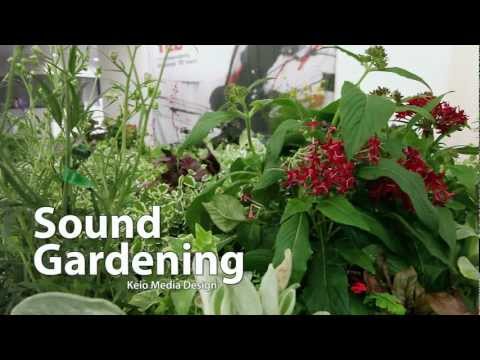 Sound Gardening TEDxTokyo 2012