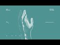 Max Richter - Now We Can Sing (Visualiser)