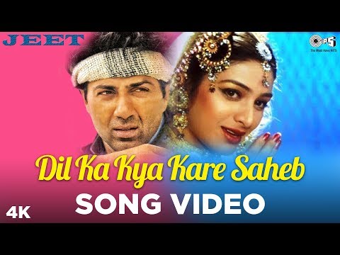 Dil Ka Kya Kare Saheb Song — watch video