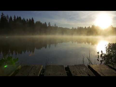 Bikuta – Earth/Love: Music