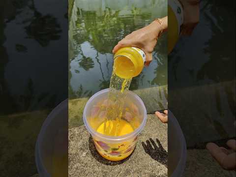 DIY Dish wash liquid 🫟