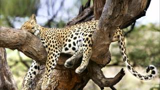 Sure feels good Dj HuHa Remix