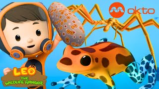 Download lagu Rescuing SEA CUCUMBER π SPIDER π·οΈ FROG πΈ| Leo Compilation | @mediacorpokto mp3 Download lagu Rescuing SEA CUCUMBER π SPIDER π·οΈ FROG πΈ| Leo Compilation | @mediacorpokto mp3