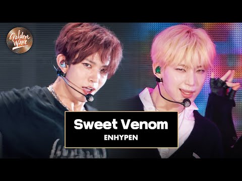 [골든 웨이브] ENHYPEN (엔하이픈) - 'Sweet Venom' ♪ | JTBC 240504 방송