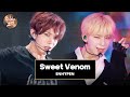 [골든 웨이브] ENHYPEN (엔하이픈) - 'Sweet Venom' ♪ | JTBC 240504 방송