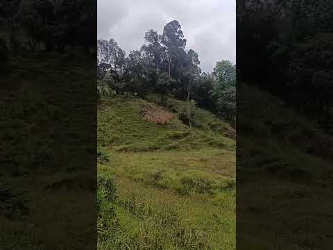FINCA EN VENTA – COLOMBIA 🌿🏡