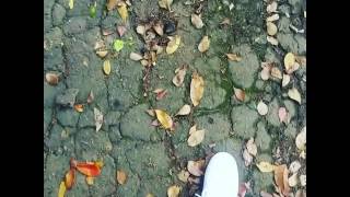 Freestley #19 Papi Wilo - Improvisando [[oficial Vídeo]]