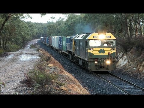 G523-X50 on 7904V on Bealiba Bank.  02-05-19.   08.08.31.