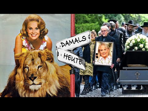 🙏🏻 Daktari (1966-1969)  Damals und heute 2025 😱 Alle starben auf tragische Weise