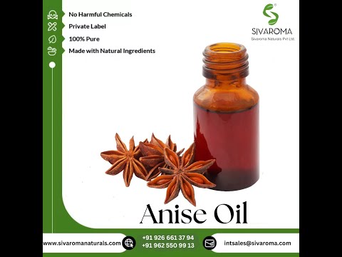 5 Kg Anise Oil