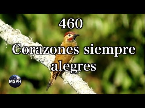 HA62 | Himno 460 | Corazones siempre alegres