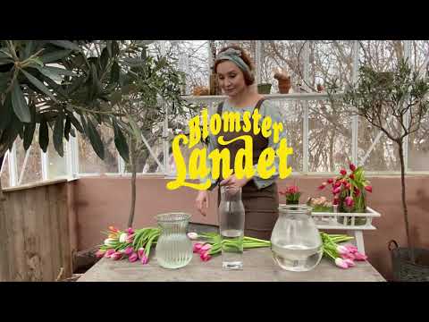 Lilla vasskolan - med Linda Schilén