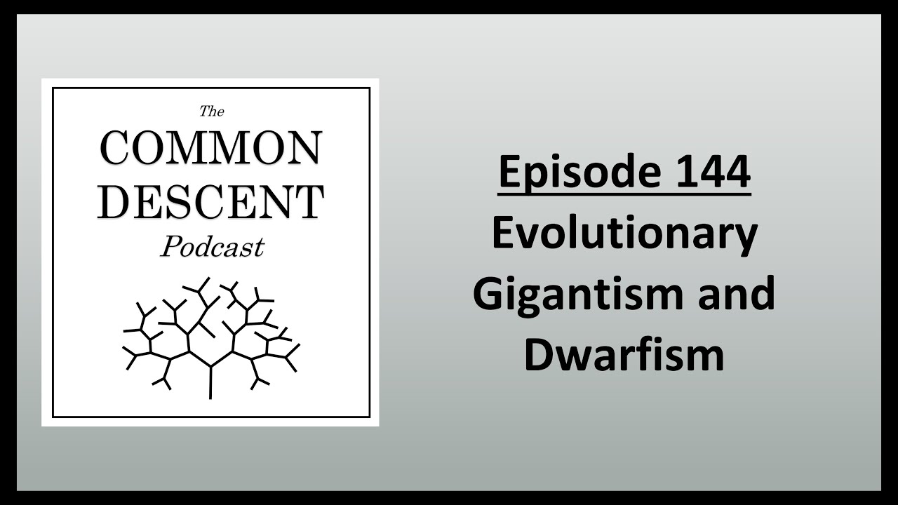 Episode 144 - Evolutionary Gigantism and Dwarfism