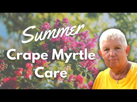 , title : 'How to Make Your Crape Myrtle Bloom All Summer Long | Summer Crape Myrtle Care'