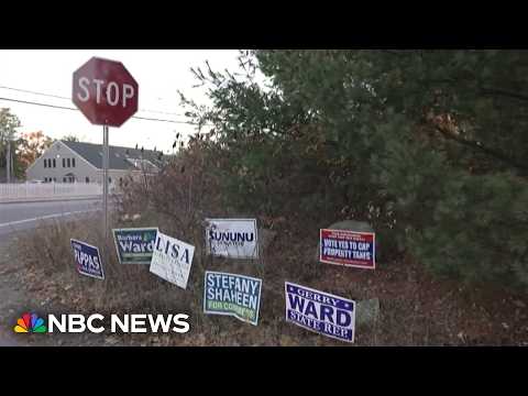 Independent voters hold the key in New Hampshire's high-stakes Senate race