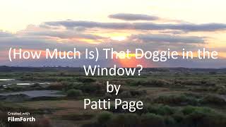 Patti Page - (How Much Is) That Doggie in the Window?