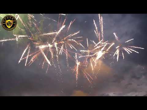 100S - Zipper Fan - Bright Silver Comets - DP23E036 - DunPai Fireworks