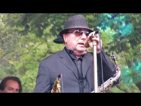 Van Morrison - Days Like This (live on Cyprus Avenue - Early show)