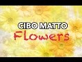 Cibo Matto- Flowers (sub español)