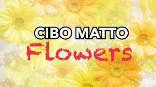 Cibo Matto- Flowers (sub español)