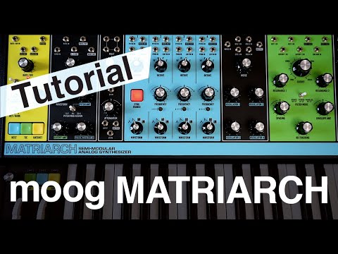 Moog Matriarch | Tutorial video 1