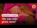 Op deze boerderij kun je met kleine biggetjes knuffelen ? | Brabants Buske