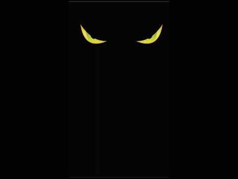 Кошачьи глаза в темноте / cat's eyes in the dark