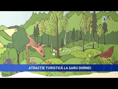 ATRACȚIE TURISTICĂ LA ȘARU DORNEI