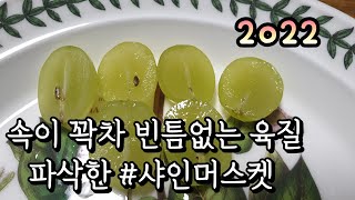 2022 아삭함을 넘어 파삭한 #샤인머스켓 올해 #처음입니다 ~