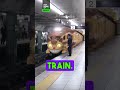 Tokyo S Surprising Totoro Encounter Kotobus On The Subway Shorts