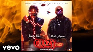 Bounty Killer, Richie Stephens - Crazy (Remix)