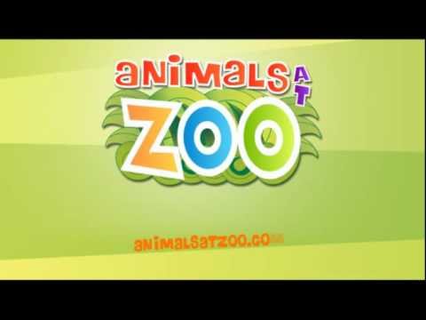 Animals at Zoo