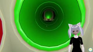 Project T․U․B․E․S