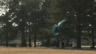 Tree Landing.avi