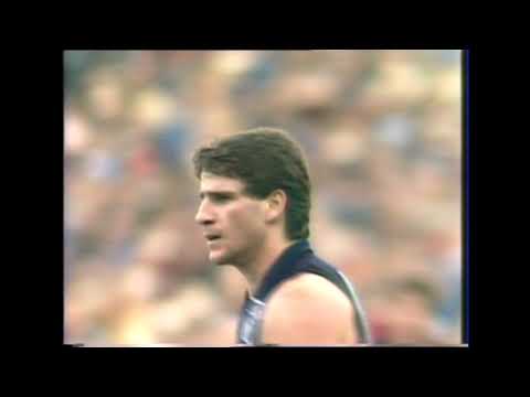 1983 Round 22 Carlton Highlights - Carlton vs Essendon