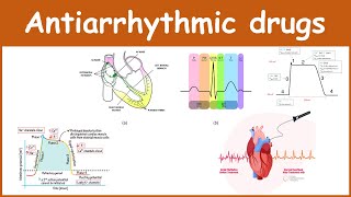 Antiarrhythmic Drugs Pharmacology: Classification, Pharmacology, Indications and, Examples