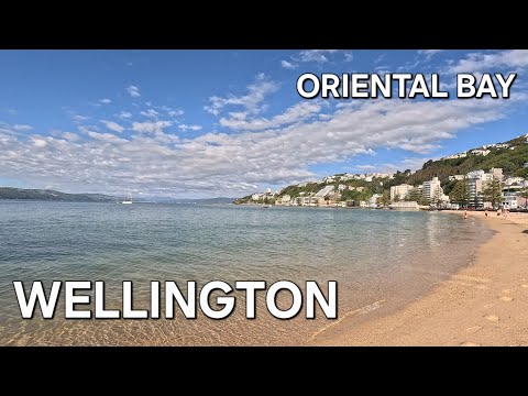 🩴 Summer in Wellington's Harbour. Oriental Bay on a sunny afternoon. Beautiful 🩵 relaxing vibes ✨️ 