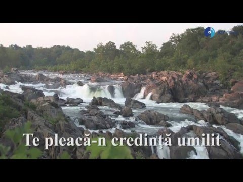 Luiza Spiridon & Vili Dulă - O suflete stai liniştit [Official audio]