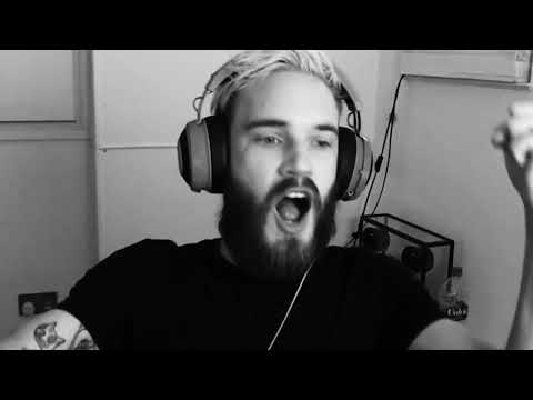 WHO WOULD WIN Seagull Vs  T Rex  p l a c e y o u r b e t s