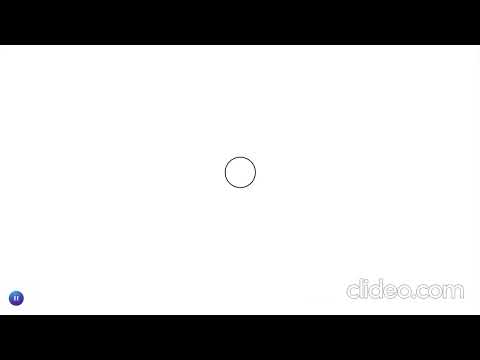 Delayed Response Task