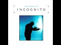INCOGNITO - Change (Bluey Remix)